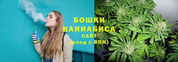 PSILOCYBIN Бронницы