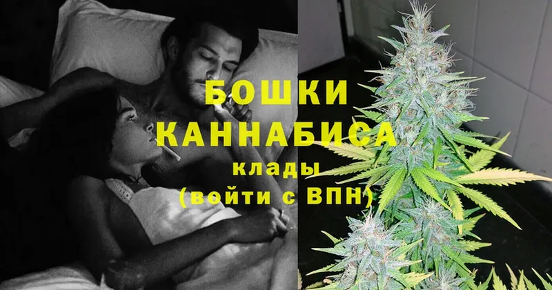 Канабис SATIVA & INDICA  Ельня 